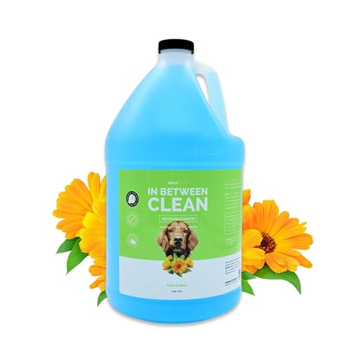 Best Waterless Dog Shampoo Options for Dogs that Fear Baths bust Still Need Cleaning
